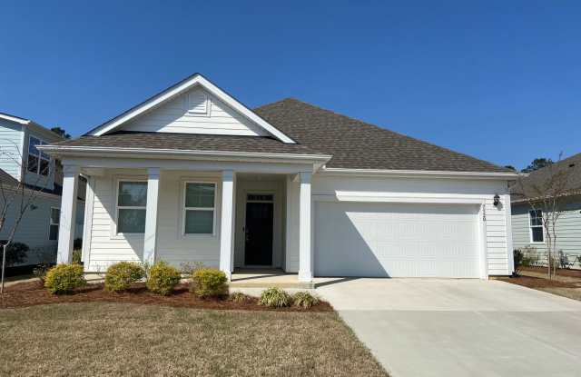 Brand new construction home in the desirable Brunswick Forest subdivision
