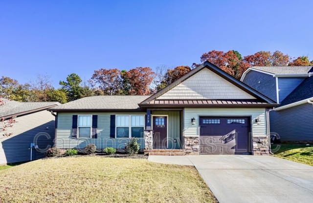 352 Greymark Lane - 352 Greymark Lane, Spartanburg County, SC 29316