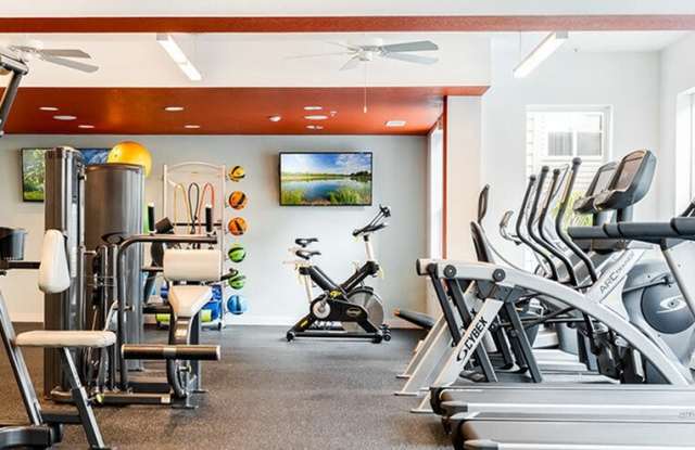 Student Housing - Halo 46