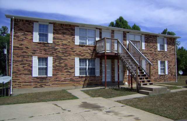 409 Shelby Ave #4
