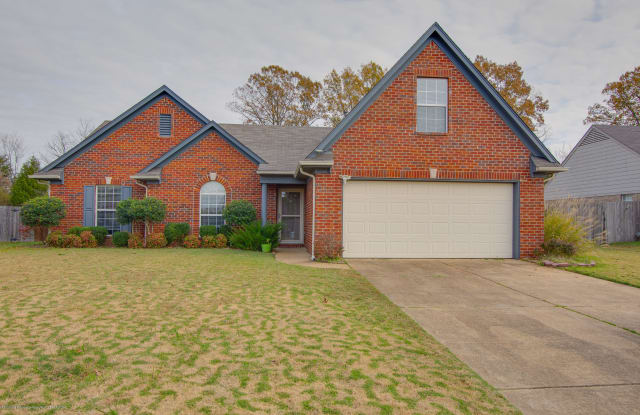 6574 White Hawk Lane - 6574 White Hawk Lane, DeSoto County, MS 38654