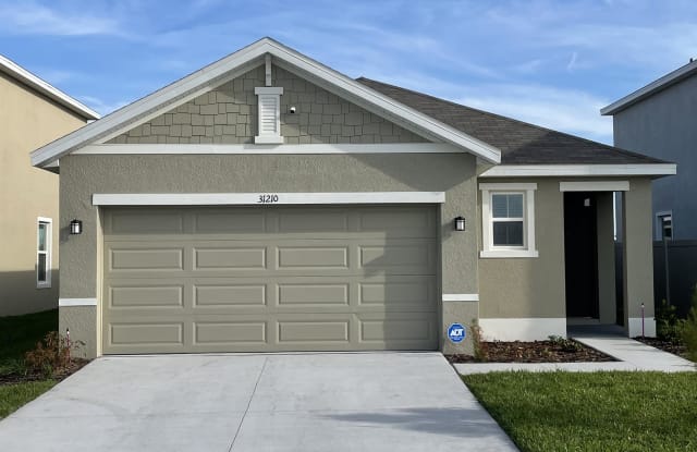 31210 Penny Surf Loop - 31210 Penny Surf Loop, Wesley Chapel, FL 33545