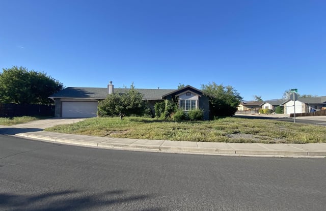 373 Nader - 373 Nader Way, Fernley, NV 89408