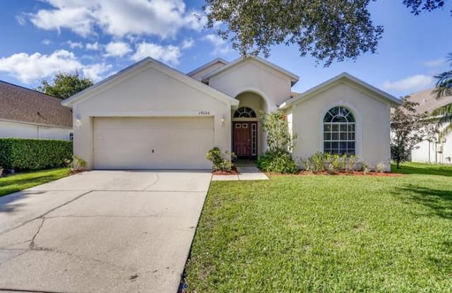 19006 Weatherstone Drive - 19006 Weatherstone Drive, Pebble Creek, FL 33647