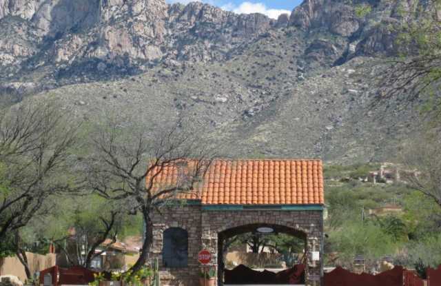 Bright  Peaceful Living in Oro Valley’s Gated Stoney Canyon