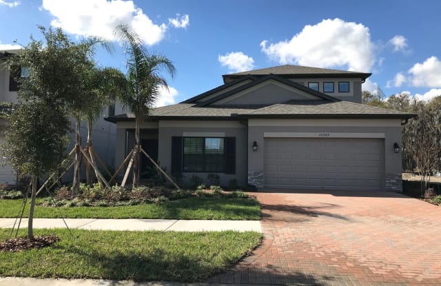 10749 Pleasant Knoll Drive - 10749 Pleasant Knoll Dr, Tampa, FL 33647