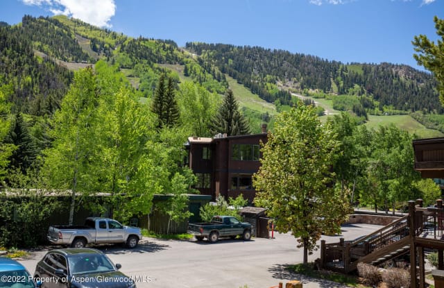 835 E Durant Avenue - 835 East Durant Avenue, Aspen, CO 81611