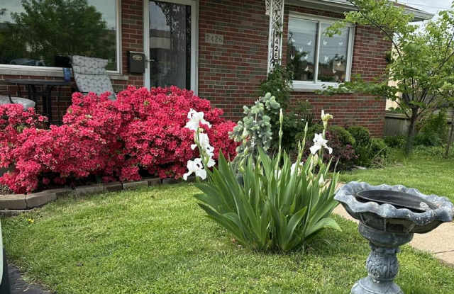 7426 Lindbergh Drive