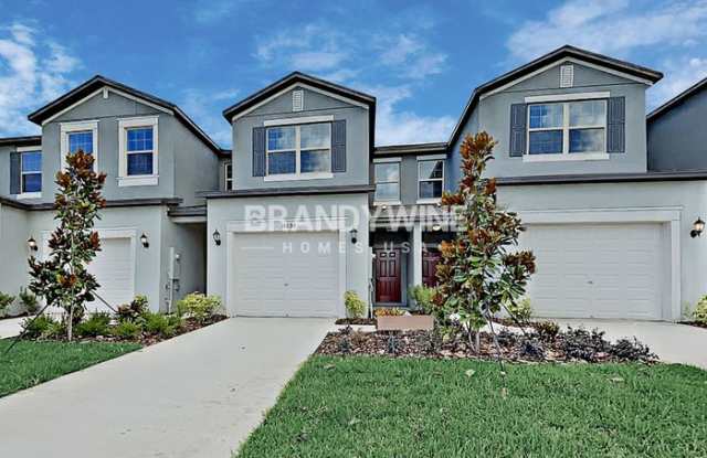 14227 Riva Ridge Place - 14227 Riva Ridge Place, Apollo Beach, FL 33573