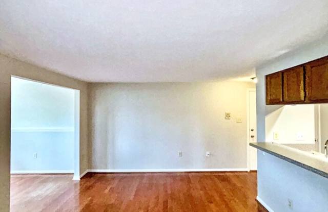 10217 Wolfe Manor Court