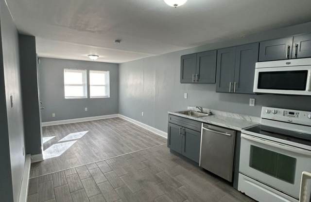 NEW 2 BED 1 BATH APARTMENT FIRST FLOOR