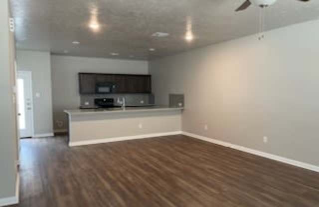 1124 Trellis Pass - 1