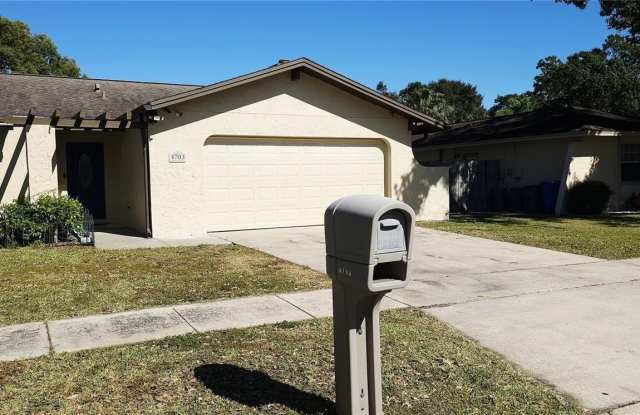 4703 CYPRESS TREE DRIVE