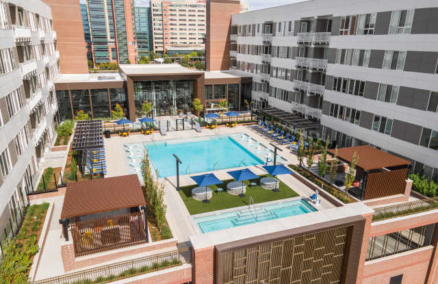 Photo of Fellow at Fitz