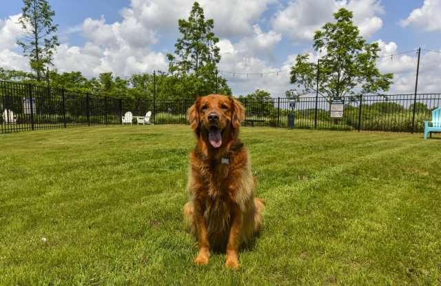 The Mill at Westside