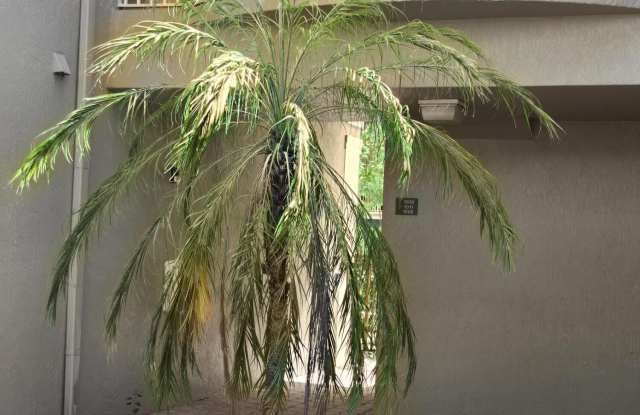 1011 Shoma Drive Drive