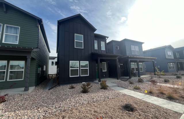 Fantastic New Home in Mosaic