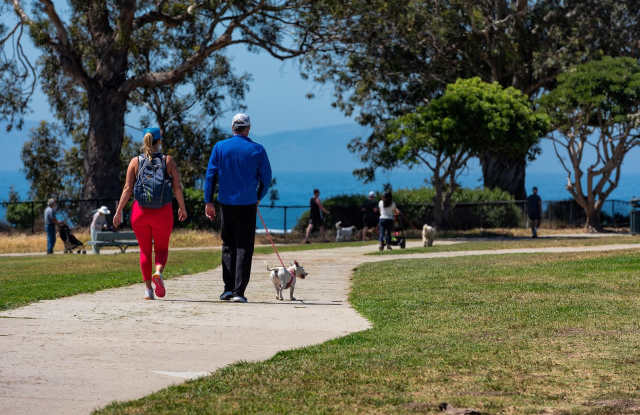 Photo of 56 Barranca Ave