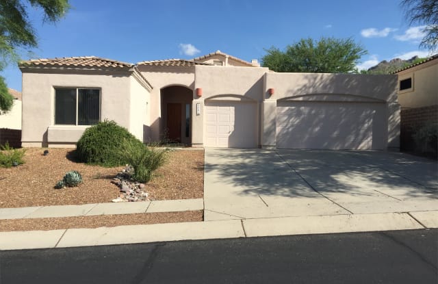 5285 N. Spring View Dr. - 5285 North Spring View Drive, Tanque Verde, AZ 85749