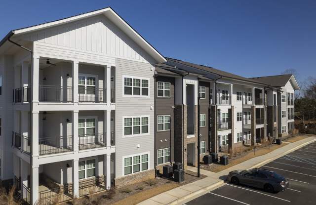 Waterleaf at Cold Springs