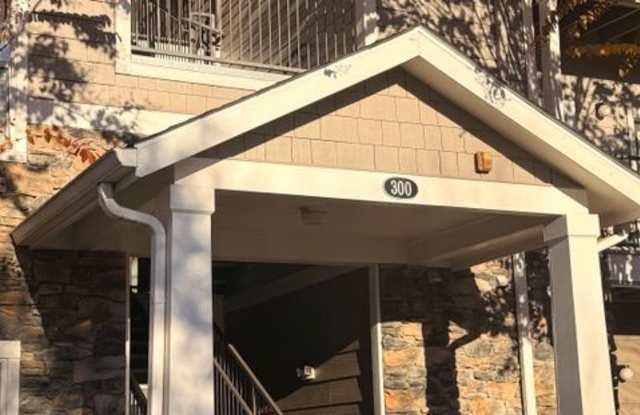 300 Vista Lake Dr Apt 205