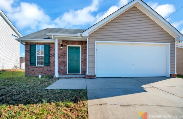 1013 Tammy Sue Ln - 1013 Tammy Sue Lane, La Vergne, TN 37086