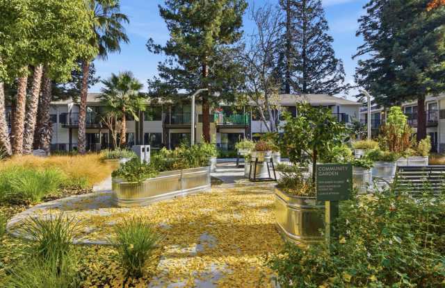 Lorien Ivy Apartments