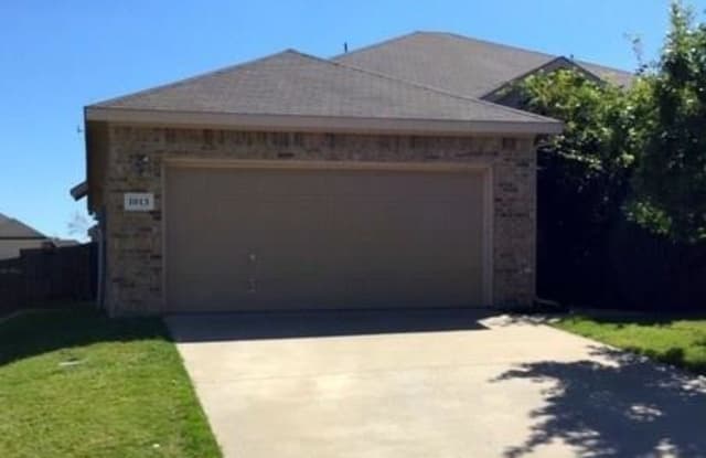 1013 Newcastle Drive - 1013 Newcastle Dr, Weatherford, TX 76086