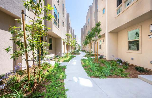 Photo of Lilian Frogtown