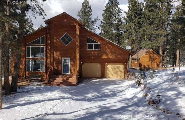 1100 PINE RIDGE ROAD - 1100 Pine Ridge Road, Woodland Park, CO 80863