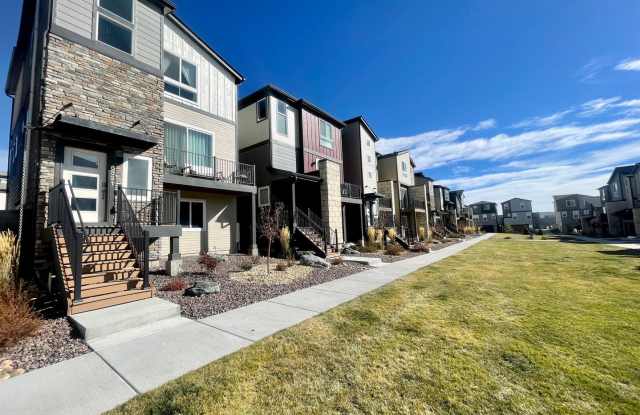 Wolf Ranch 3 Bedroom home