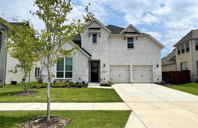 4520 Paint Rock Drive