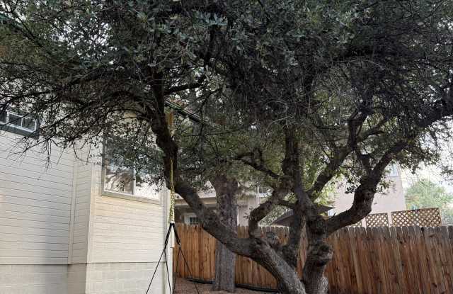 242 West Rosser Street