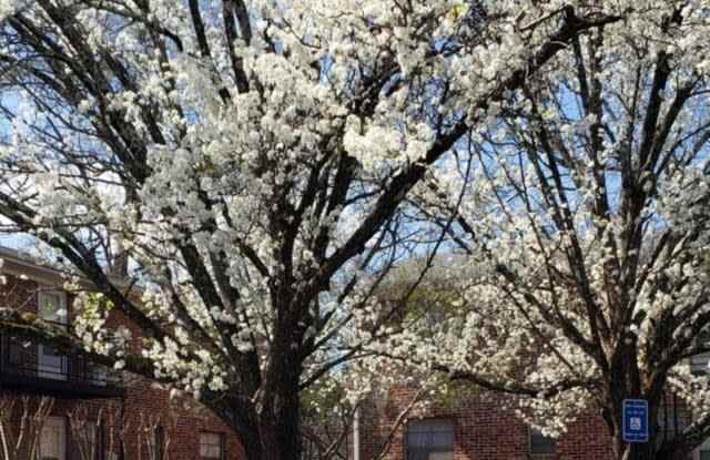 1250 Donnelly Ave SW Unit C22