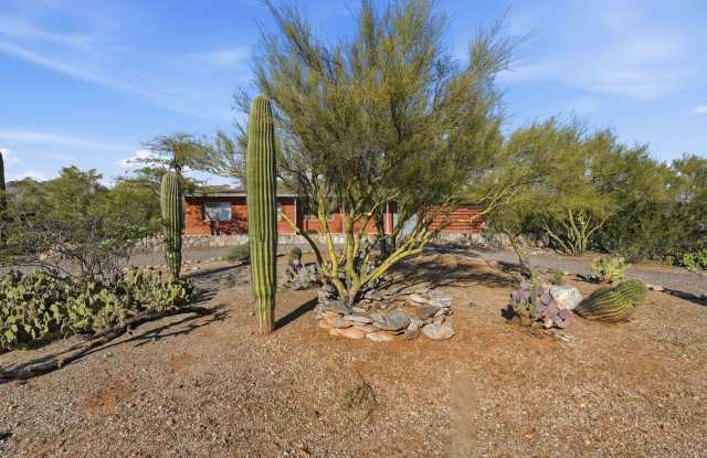 3BR/4BA Professional Retreat with Private Desert Oasis