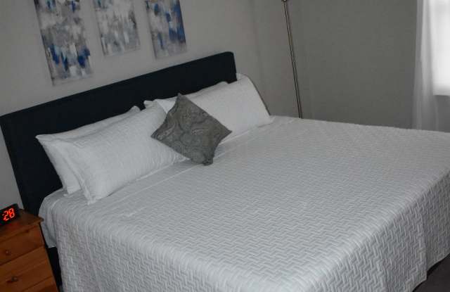 3011 Bluff Ridge Drive - 1