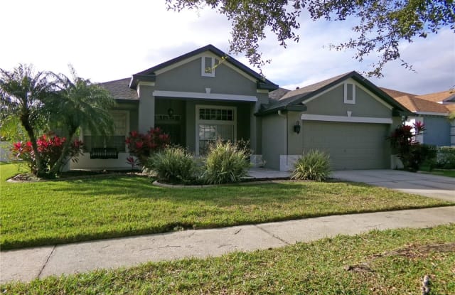 5839 HERONVIEW CRESCENT DRIVE - 5839 Heronview Crescent Drive, Fish Hawk, FL 33547