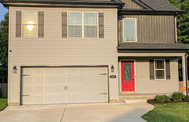 528 Medallion Cir - 528 Medallion Circle, Clarksville, TN 37042