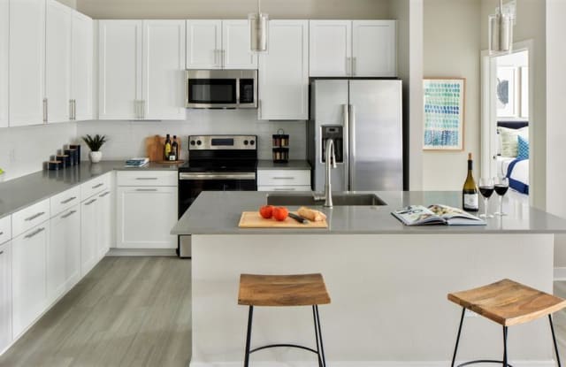 Photo of Luna at Lake Shadow