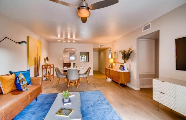 Photo of Visconti at Camelback