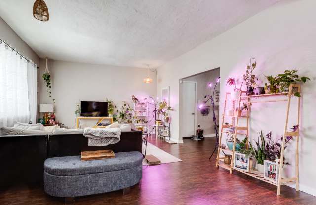 AVAILABLE AUGUST - Check out this 3 bedroom, 2.5 bath home in Mt Washington!