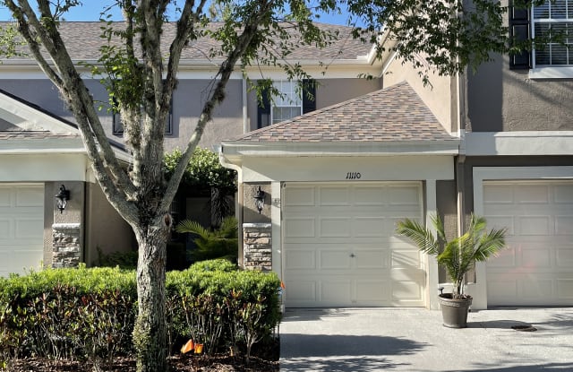 11110 Windsor Place Circle - 11110 Windsor Place Circle, Westchase, FL 33626