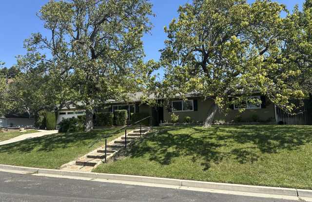 494 Scandia Dr