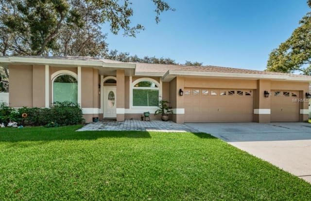 4448 GLENBROOK DRIVE - 4448 Glenbrook Drive, Palm Harbor, FL 34683