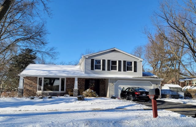 1553 Chickasaw Drive - 1553 Chickasaw Drive, Naperville, IL 60563