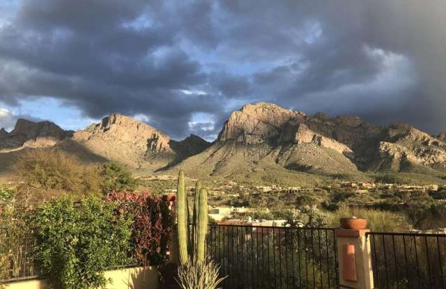 784 E Camino Diestro