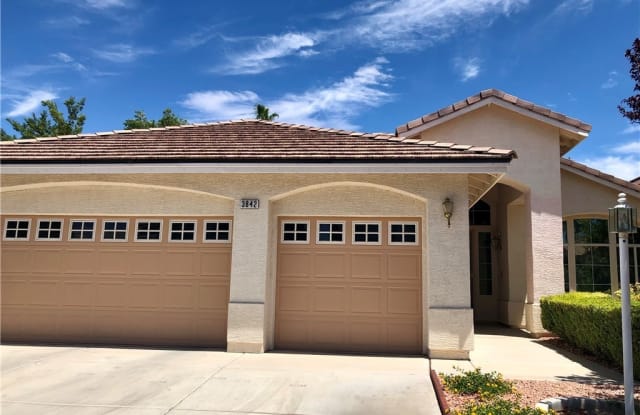 3842 Ruskin Street - 3842 Ruskin Street, Spring Valley, NV 89147