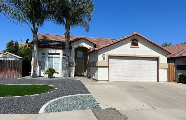 3115 Cedar Springs Ct - 3115 Cedar Springs Court, Ceres, CA 95307