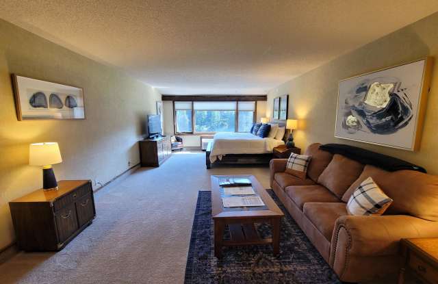 314 Tamarron Drive - 1#341