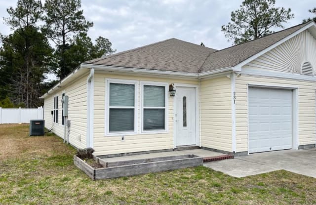 231 Lloyd St - 231 Lloyd Street, Holly Ridge, NC 28445